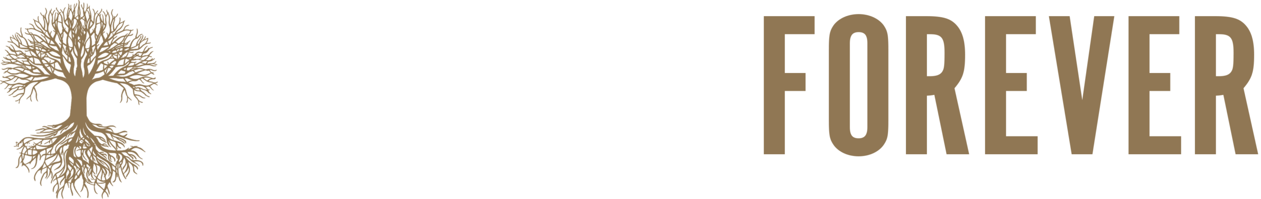 momentsforever.com.br